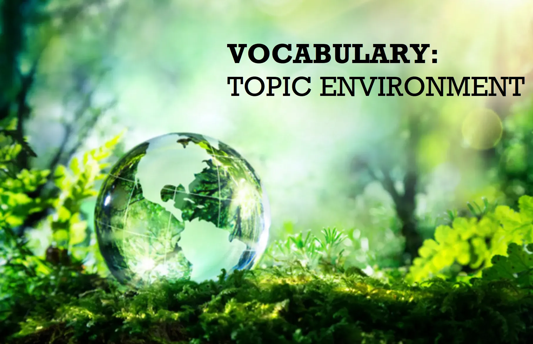 234+ từ vựng về môi trường thông dụng nhất trong tiếng Anh
