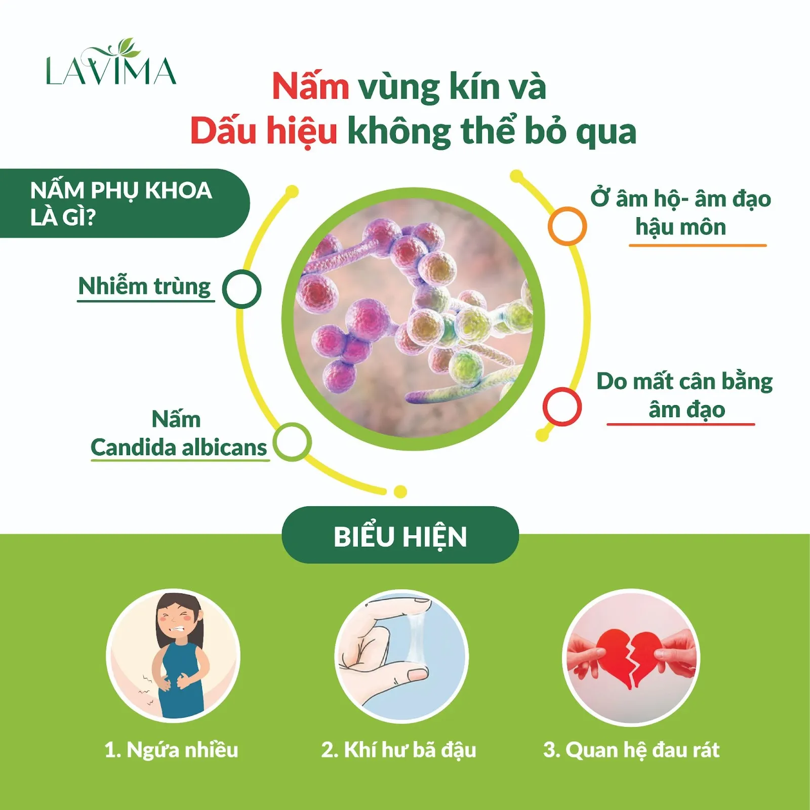 Bệnh nấm candida đường sinh dục là bệnh gì? Cách điều trị hiệu quả nhất hiện nay