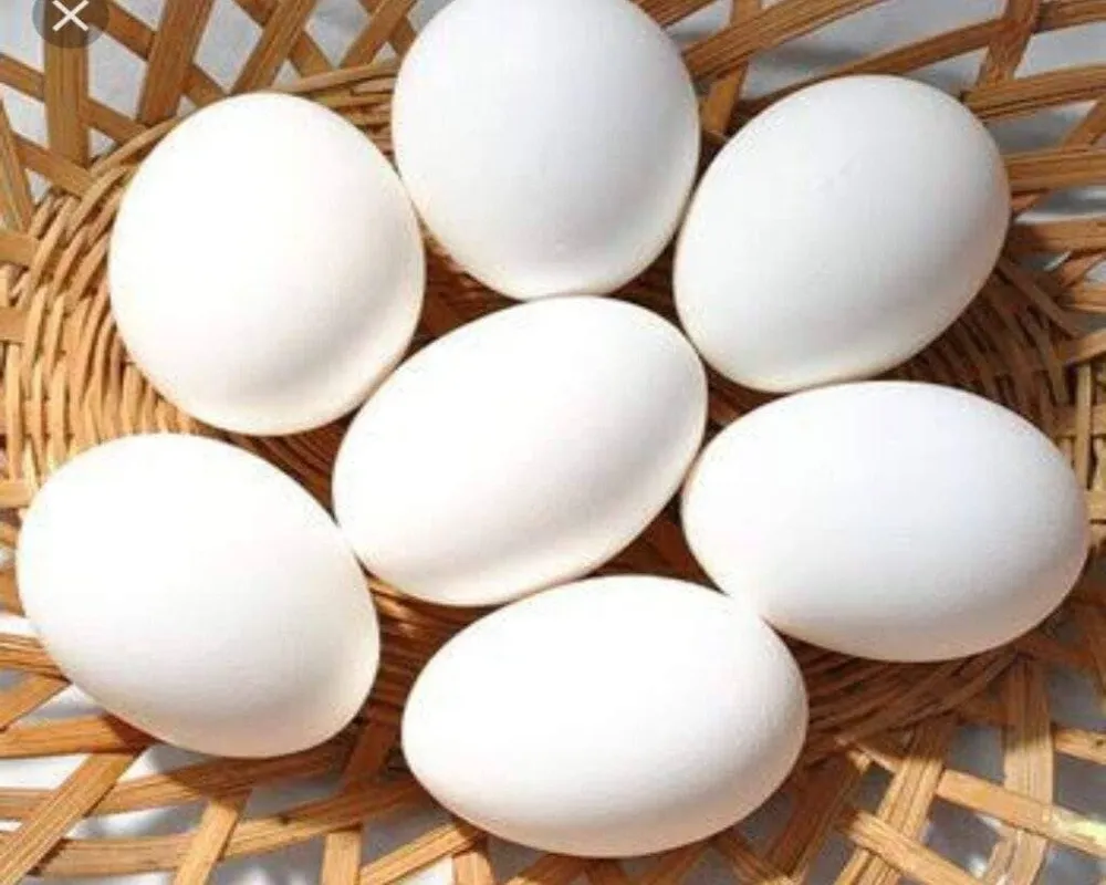 Cách luộc trứng vịt lộn ngon mềm không bị nứt cực kì đơn giản
