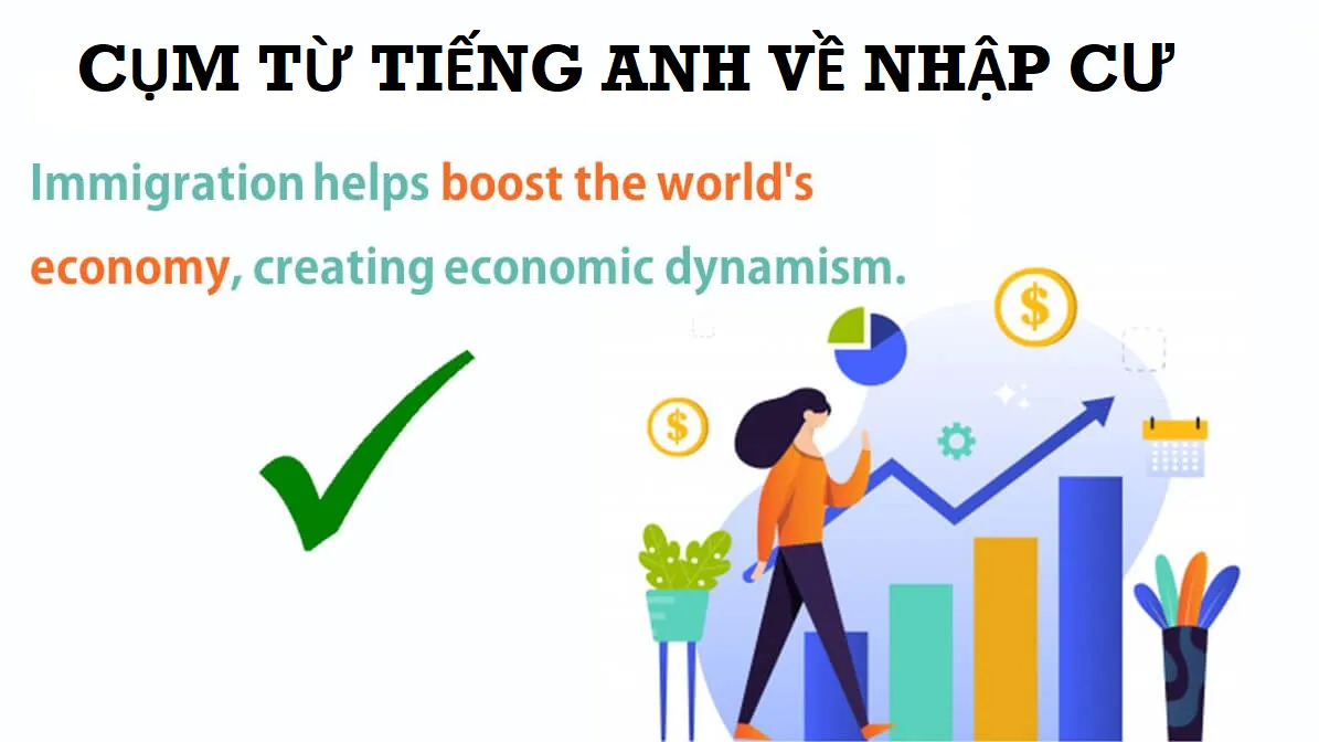 Tổng hợp 99+ từ vựng tiếng Anh về nhập cư thông dụng nhất