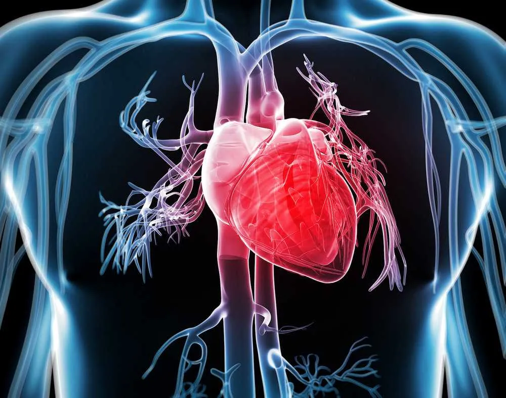 Tổng hợp các yếu tố nguy cơ và cách phòng tránh hiệu quả các bệnh về tim mạch