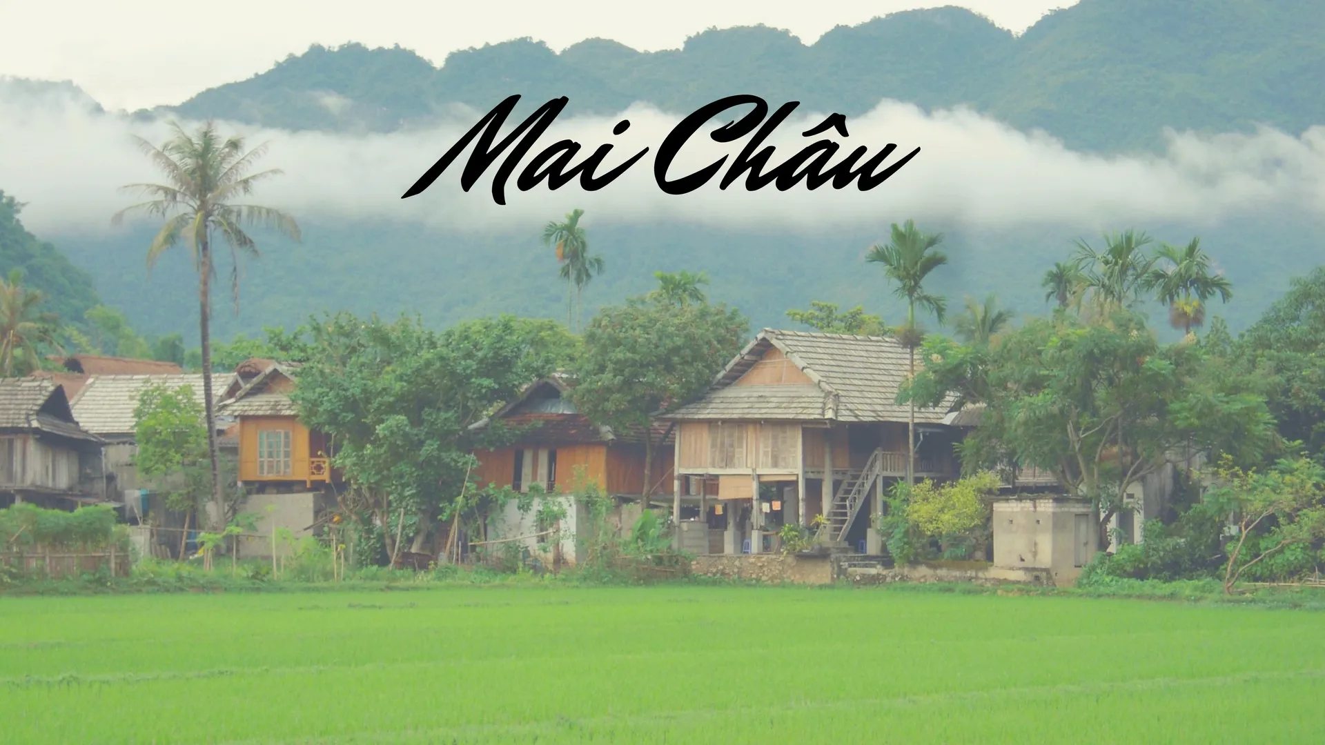 Mai Châu Hòa Bình có gì đẹp? 15 điểm du lịch sống ảo view chất nhất ở đâu ?