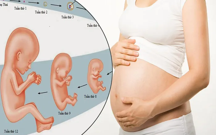 Suy dinh dưỡng bào thai có nguy hiểm không? Nguyên nhân gây ra là gì? Cách chữa trị như thế nào?