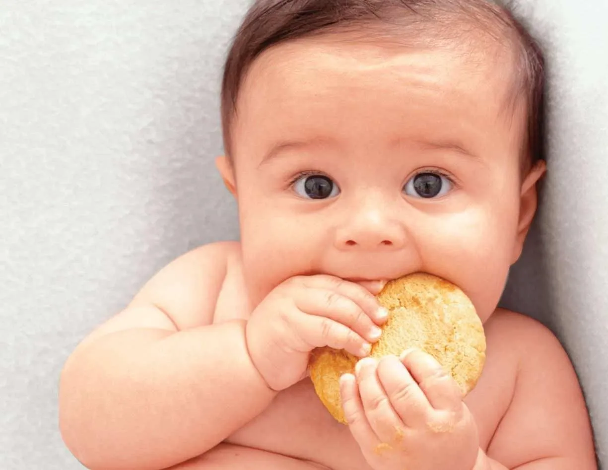 Tổng hợp các loại bánh ăn dặm cho trẻ từ 7 tháng tuổi tập nhai giàu dinh dưỡng