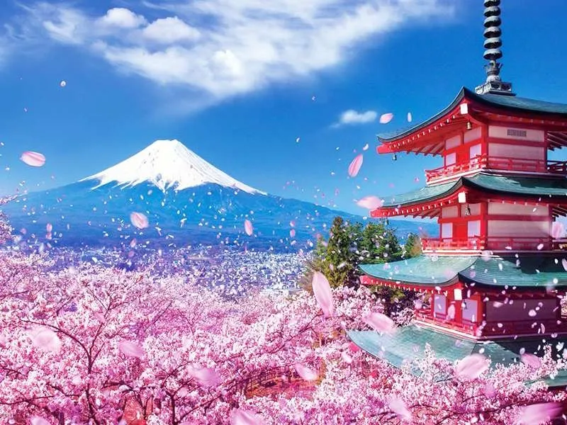 Top 9 địa điểm du lịch Nhật Bản mùa đông từ tháng 12